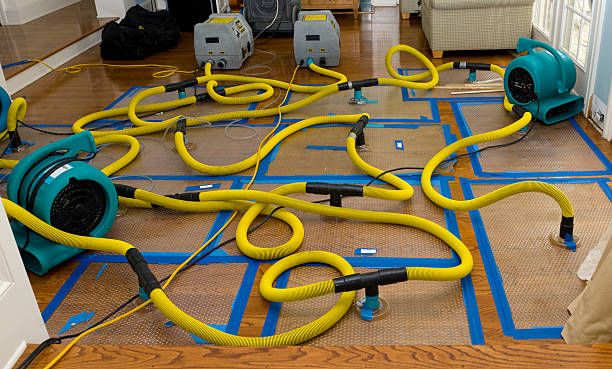Professional Water Extraction technician working in Floral Park, NY